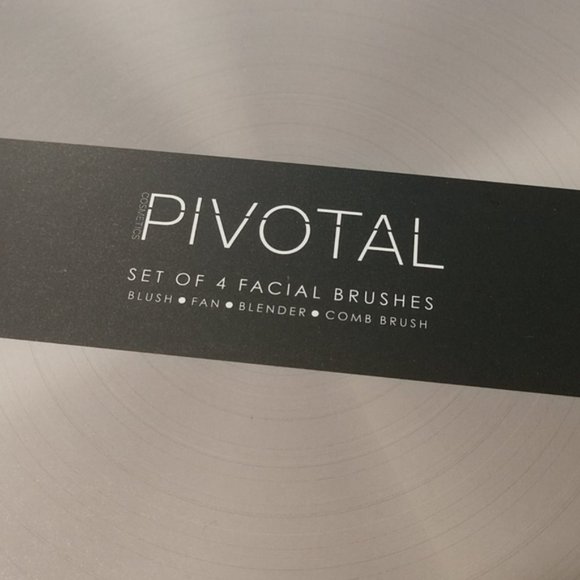 Pivotal Cosmetics 4 PC. Brush Set Makeup NEW - Picture 4 of 7